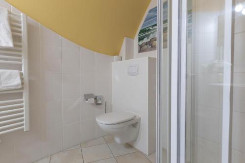 a bathroom with a toilet and a shower at Muschel 3 in Ahrenshoop