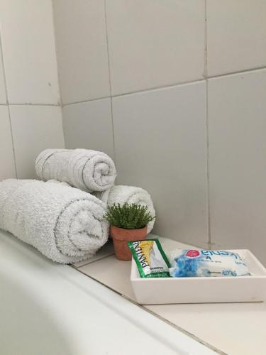 a mirror in a bathroom with towels and a plant at FyD Apart in San Miguel de Tucumán