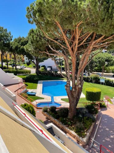 an overhead view of a swimming pool with a tree at Apartment in Algarve,Vilamoura in Vilamoura