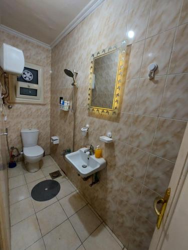 bagno con lavandino, servizi igienici e specchio di Caesar Studio Apartment ad Alessandria d'Egitto