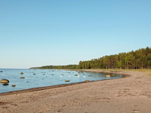 a beach with a bunch of birds in the water at Toomarahva Farmstay in Altja