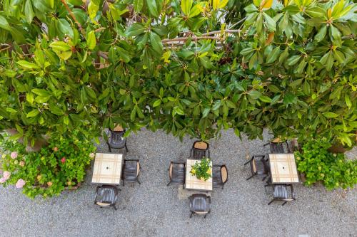 a group of lights sitting under a green bush at Villa Adriana in Pietra Ligure