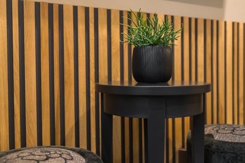 a black table with a plant on top of it at Oliva Hotel in Veszprém
