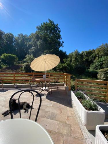 a patio with a table and an umbrella and a cat at B&B La Fucinaia Pet Friendly Adults only in Campiglia Marittima