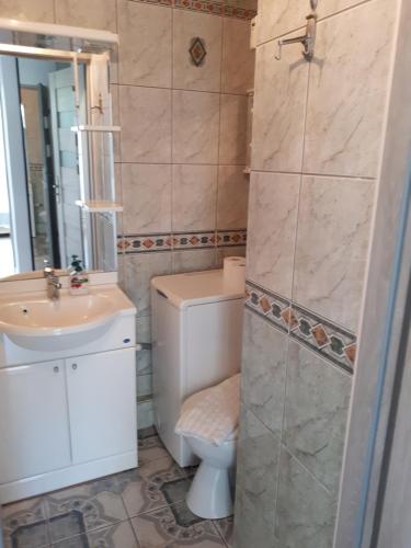 Apartament Aleksandra في كارباش: حمام مع مرحاض ومغسلة ودش