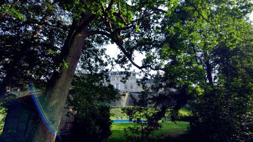 a large white building in the distance behind some trees at Château de la Chapelle in Anthisnes