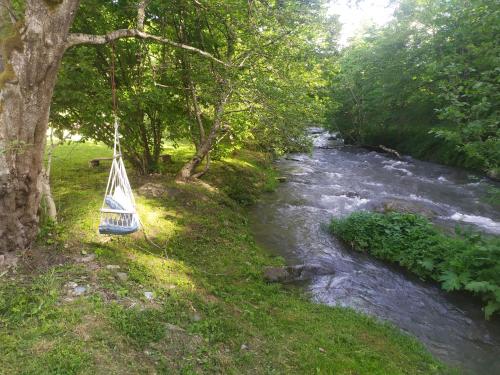 a swing hanging from a tree next to a river at Complex Adela Transfăgărășan in Cîrţişoara