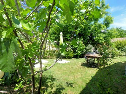 a garden with a picnic table and a tree at Gite ARCADIA in Saint-Ambroix