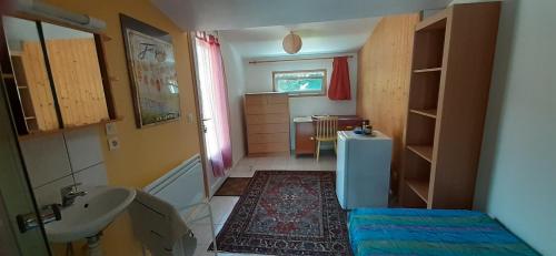 a small room with a bathroom with a sink and a toilet at Chez Caro au calme in Annecy