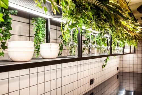 a row of glasses on a shelf with plants at Hospedium H Cabo Sport in Finisterre