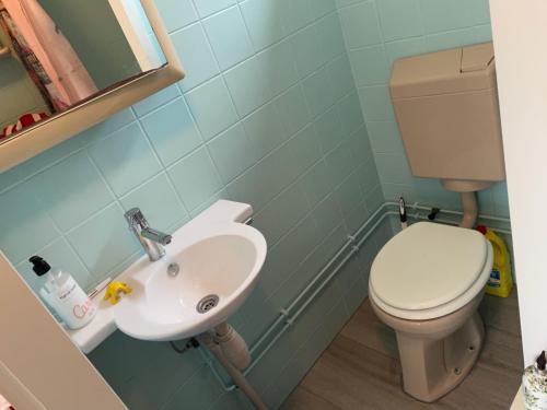 a bathroom with a toilet and a sink at The Outpost Lakehouse- enjoy our house at Reeuwijkse Plassen - near Gouda in Reeuwijk