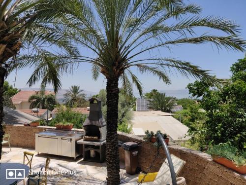 a palm tree in a yard with a stove at Out of Africa Resort in Had Nes