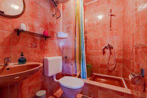 a bathroom with a toilet and a sink and a shower at Apartments MAK in Račišće