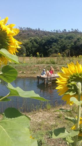two people sitting on a dock in a pond at New built studio, in nature close to the beach in Odeceixe
