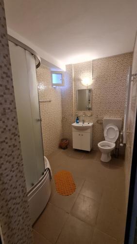 a bathroom with a shower and a toilet and a sink at Casa RBK in Vama Veche