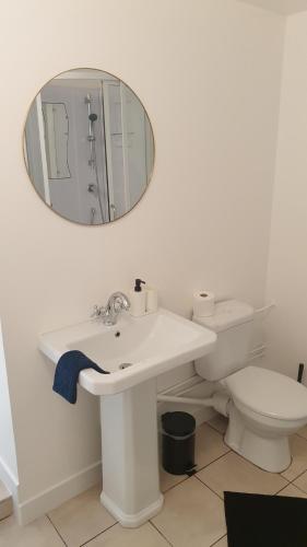 a bathroom with a sink and a mirror and a toilet at Gîte de l'Automne in Béthisy-Saint-Martin