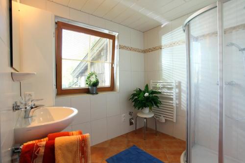 a bathroom with a sink and a glass shower at Haus Hirzinger in Brixen im Thale