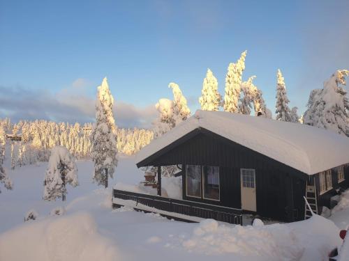 a cabin covered in snow with snow covered trees at Solhytta Fantastisk beliggenhet! Hytte til leie på Skrim! in Kongsberg