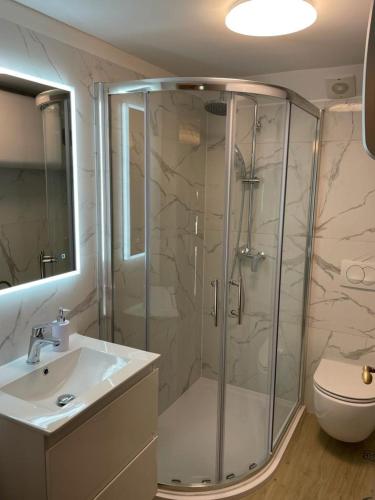 a bathroom with a shower and a sink and a toilet at Patakun holiday home for 5, with heated pool in Lećevica