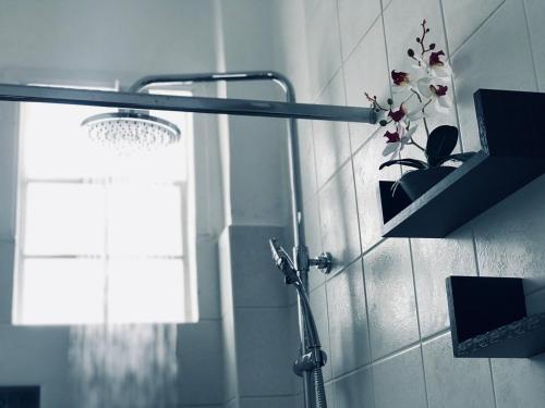 a shower with a potted plant on a wall at Unique Anoi House - In the Heart of Skyros Village in Skiros