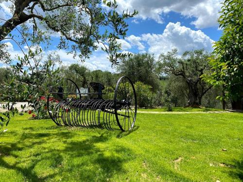 a park bench sitting in a field of grass at L'Aia Country Holidays in Siena