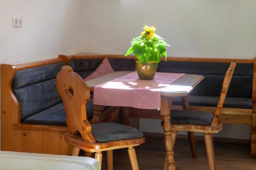a table and chairs with a potted plant on it at Appartement Lara & Lea in Zell am Ziller