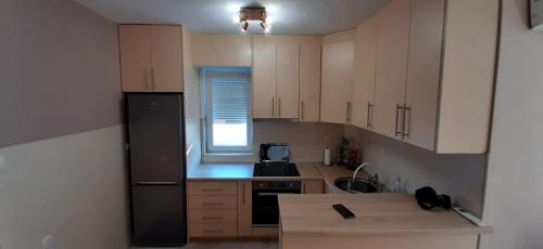 Kuchyň nebo kuchyňský kout v ubytování Apartman Lav