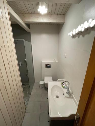 a bathroom with a sink and a toilet at Mézesfészer apartman in Cserkút