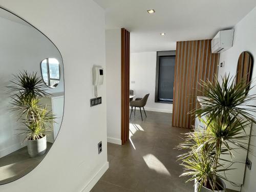 an office with two potted plants in a hallway at Luxury boutique playa Silgar in Sanxenxo