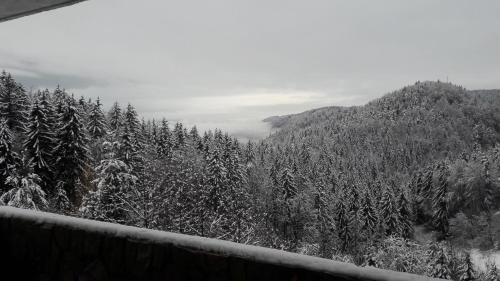 Příroda nedaleko venkovského domu
