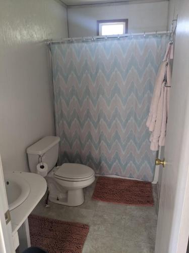 a bathroom with a toilet and a shower curtain at Eagles Landing Campground in Sturgis