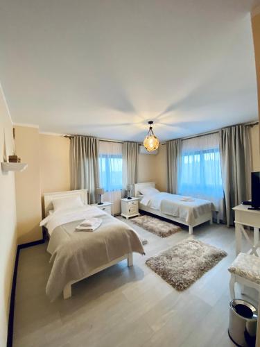 a bedroom with two beds and two windows at Pensiunea Izora in Crisan