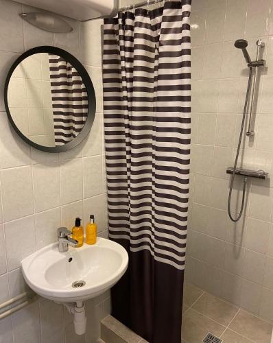 a bathroom with a sink and a shower curtain at Astos Vila in Palanga