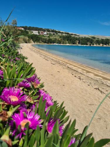 Gambar di galeri bagi Apartments Simurina di Vlašići