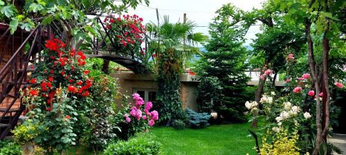 Сад в GREEN GARDEN