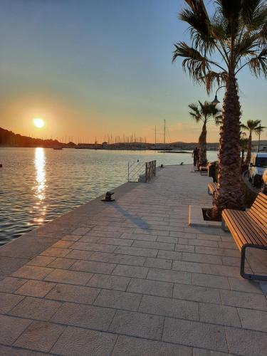 a pier with palm trees and a bench next to the water at Apartment Surya in Rogoznica
