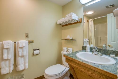 a bathroom with a sink and a toilet and a mirror at Purity Spring Resort in Madison