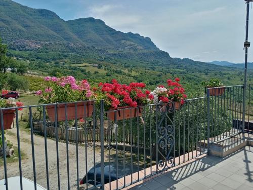 un balcone con fiori su una recinzione con montagne sullo sfondo di Agriturismo Tre Morene a Monteforte Cilento