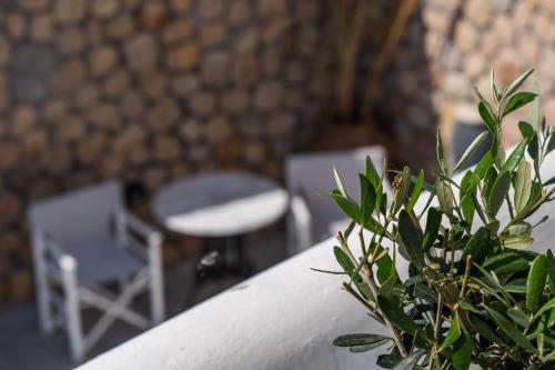 a plant in front of a table and chairs at Stavros Villas in Karterados