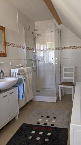 a bathroom with a shower and a sink and a toilet at Ferienwohnung Wald und Weitblick in Dreschvitz