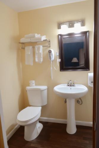 a bathroom with a toilet and a sink and a mirror at Frankenmuth Motel in Frankenmuth