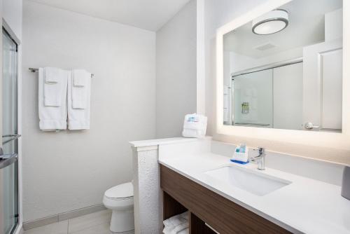 A bathroom at Holiday Inn Express & Suites - Lexington W - Versailles, an IHG Hotel