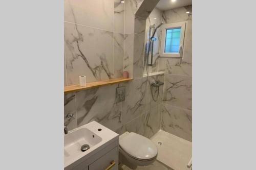 La salle de bains est pourvue de toilettes, d'un lavabo et d'une douche. dans l'établissement Appartement neuf 4-6 personnes en bord de Mer, à Nice