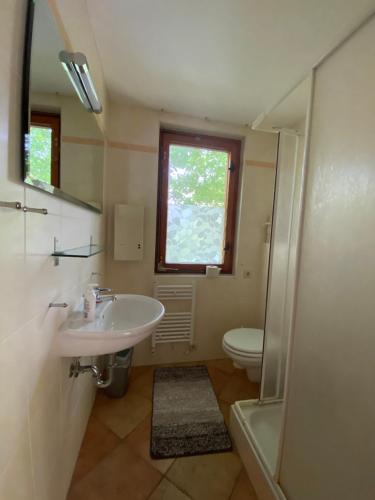 a bathroom with a sink and a toilet and a window at Ferienhaus Silvaner in Naumburg