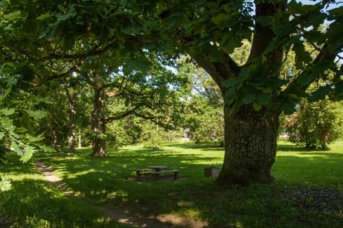 a park with a picnic table under a tree at Pālena apartamenti in Tērvete