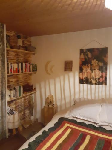 ein Schlafzimmer mit einem Bett und einem Bücherregal in der Unterkunft Maison authentique en pierre apparente en montagne dans le c antal in Thiézac
