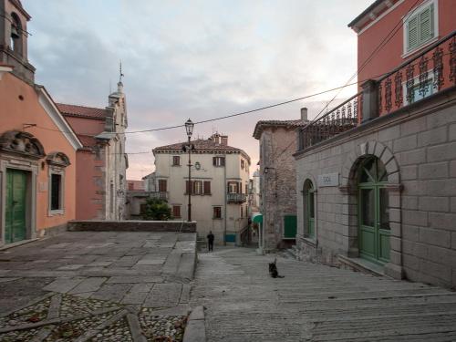 una calle de la ciudad con edificios y un gato sentado en la calle en Apartments Zdenka, en Labin