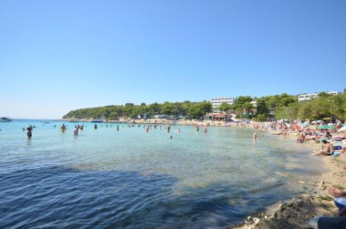 a group of people in the water at a beach at Apartments Ivana in Murter