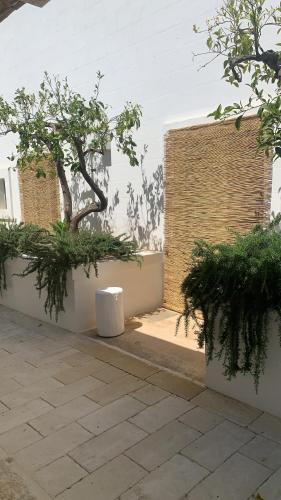 Masseria Spesseto – Photos 5