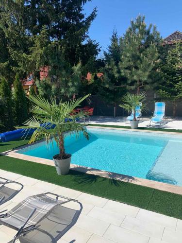 a swimming pool with a palm tree in a yard at Mineral apartman Smaragd in Nyíregyháza